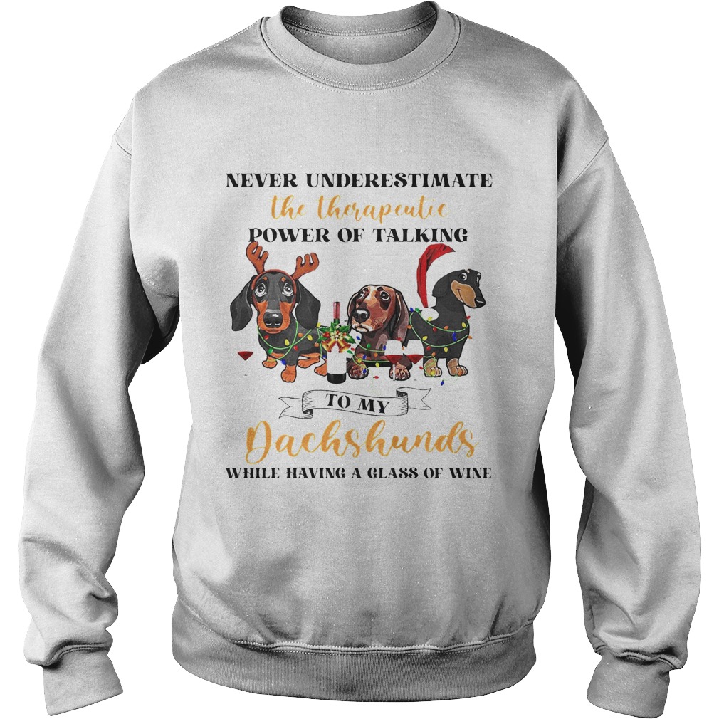 Never Underestimate The Therapeutic Power Of Talking To My Dachshunds While Having A Glass Of Wine Sweatshirt