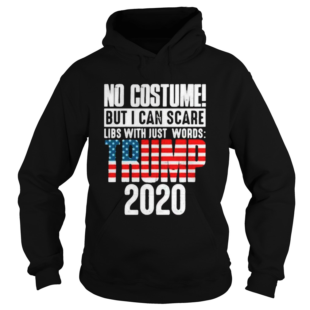 No costume but I can scare libs with just words Trump 2020 flag Hoodie