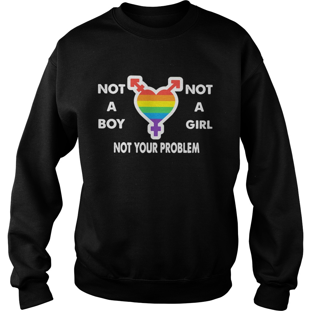 Not A Boy Not A Girl Not Your Problem Heart Lgbt Sweatshirt