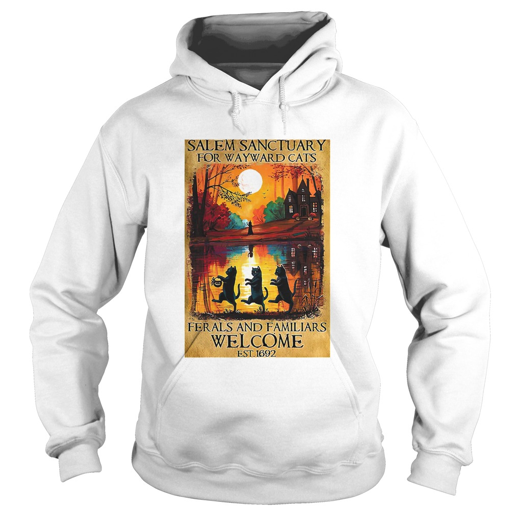 Salem Sanctuary For Wayward Cats Ferals And Familiars Welcome Hoodie