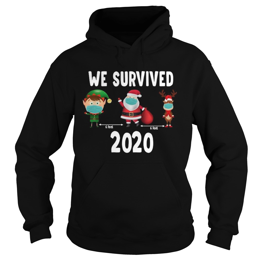 We Survived 2020 Christmas Hoodie