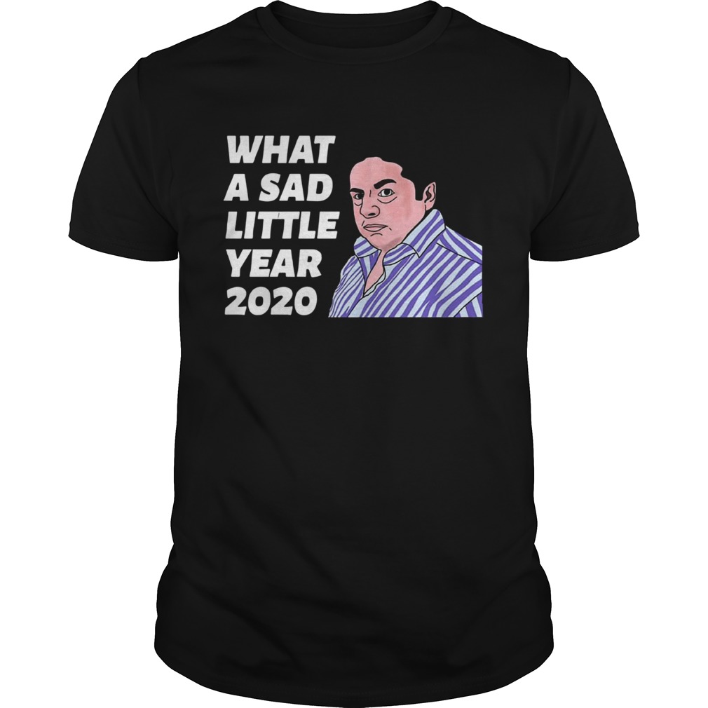 What A Sad Little Year 2020 shirt