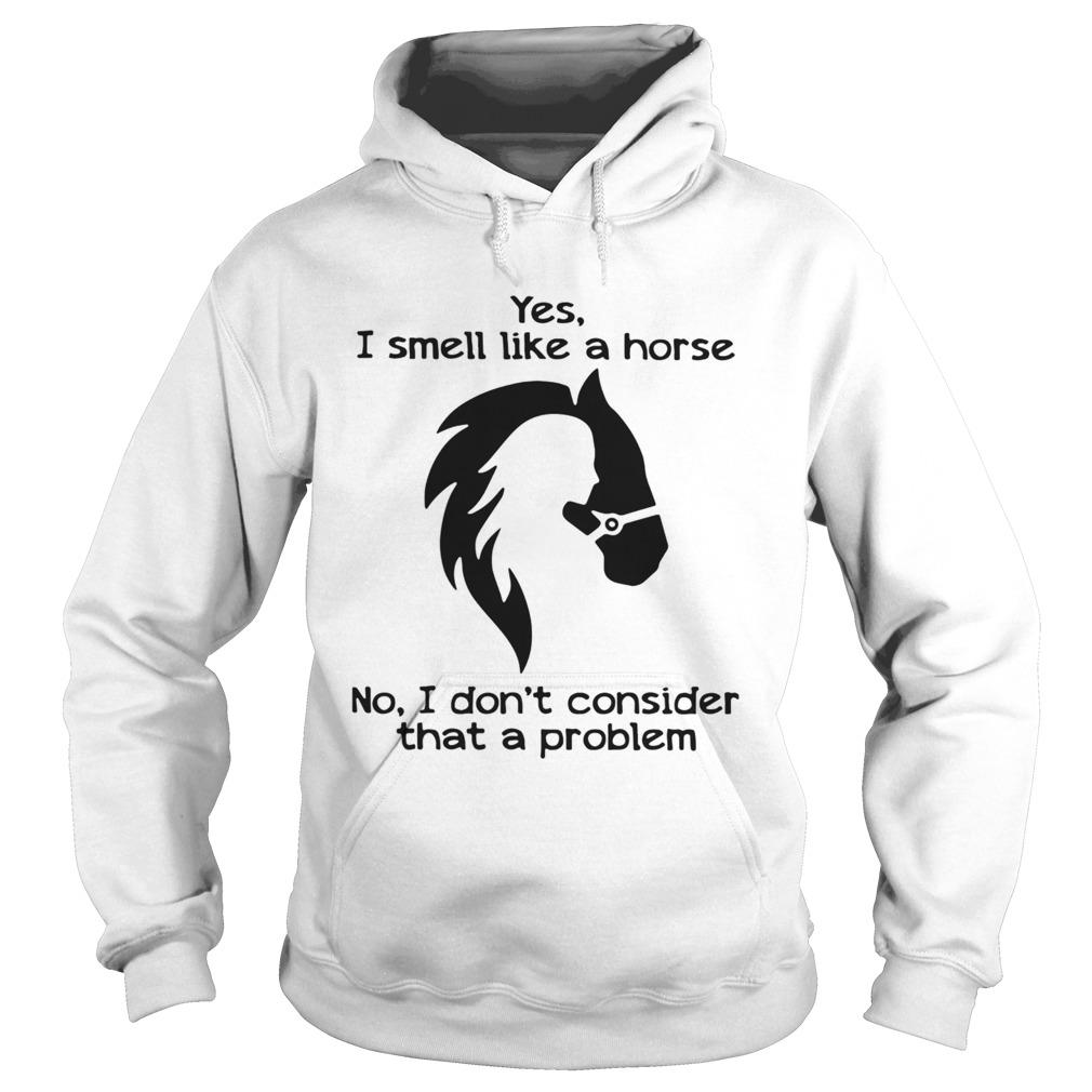 Yes I Smell Like A Horse No I Dont Consider That A Problem Hoodie