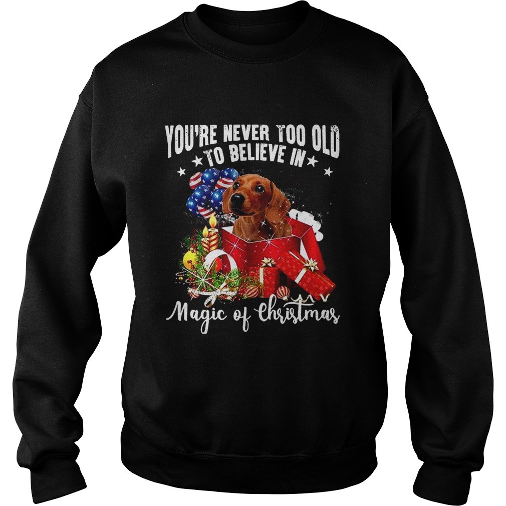 Youre Never Too Old To Believe In Magic Of Christmas Sweatshirt