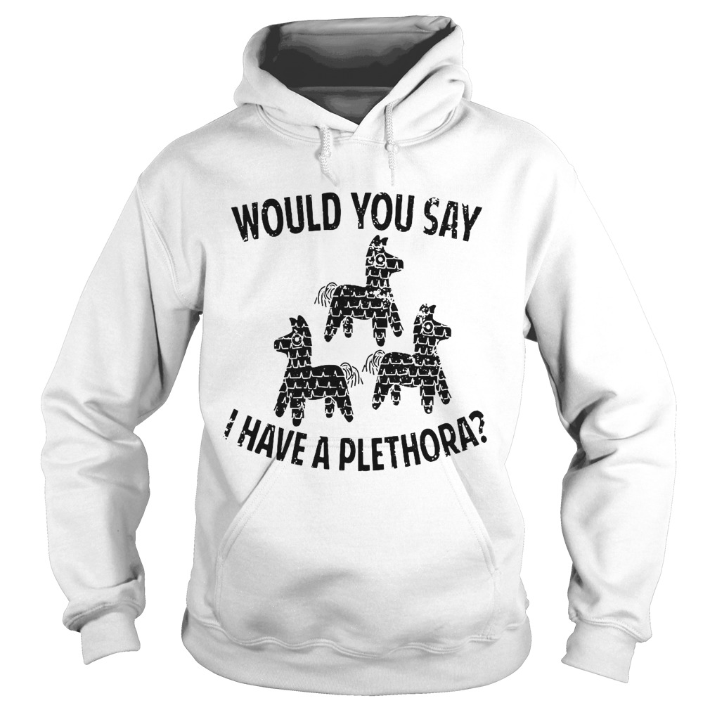1606799410Would You Say I Have A Plethora Three Amigos Hoodie