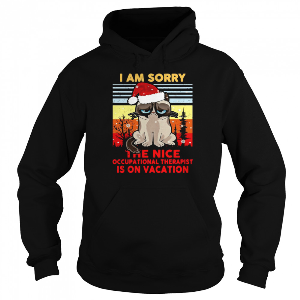 Cat Santa I Am Sorry The Nice Occupational Therapist Is On Vacation Ugly Christmas Unisex Hoodie