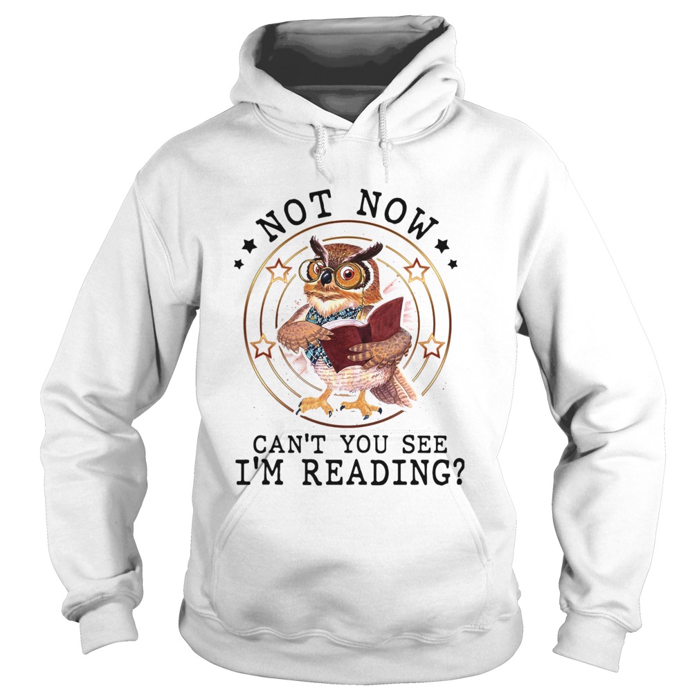 Not Now Cant You See Im Reading Hoodie
