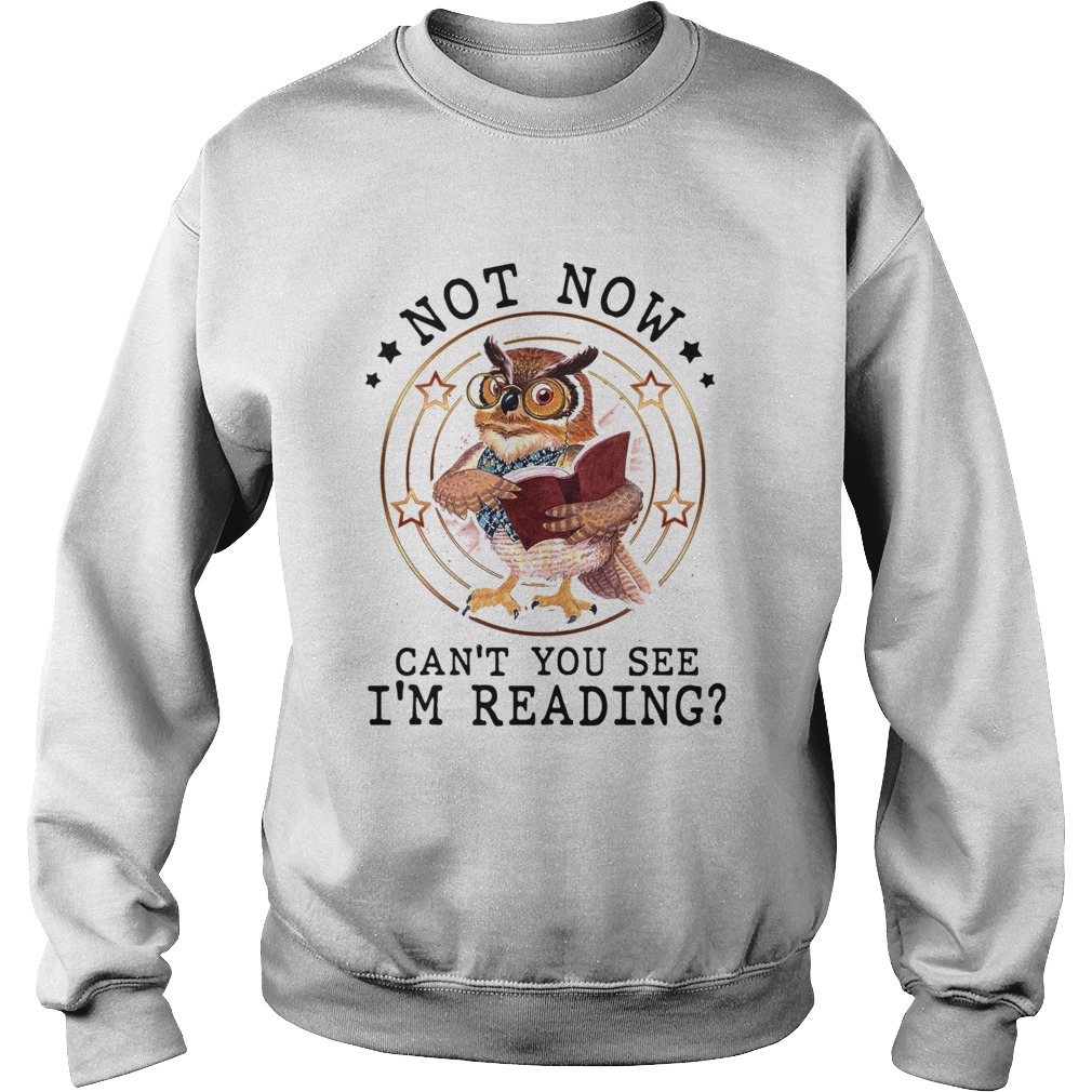 Not Now Cant You See Im Reading Sweatshirt