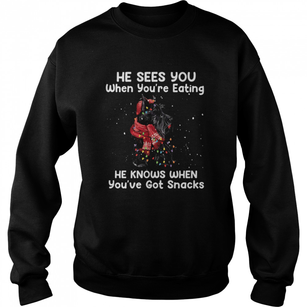 Scottish Terrier He Sees You When Youre Eating He Knows When Youve Got Snacks Unisex Sweatshirt