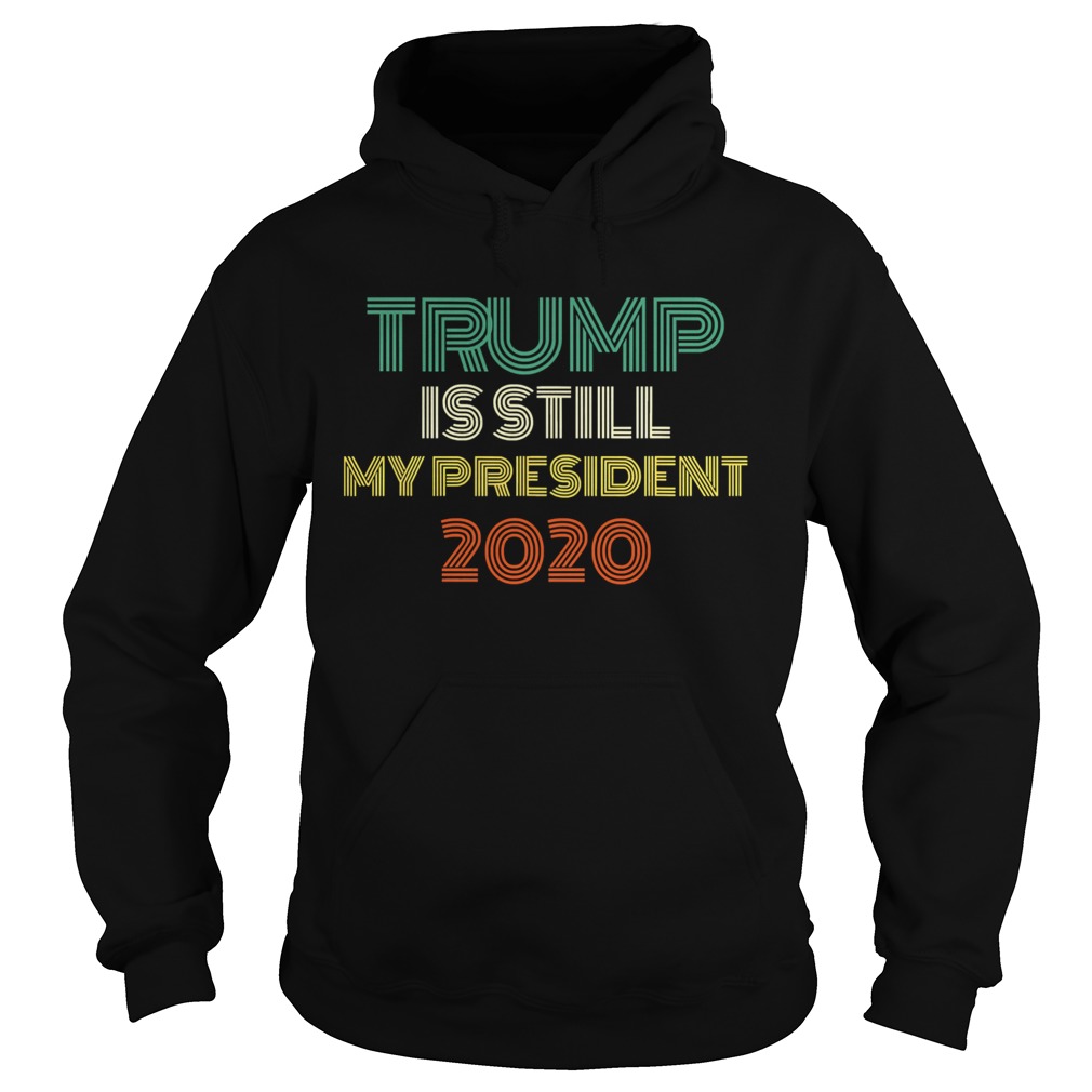 Trump Is Still My President ReElected Inauguration 2021 Vintage Hoodie