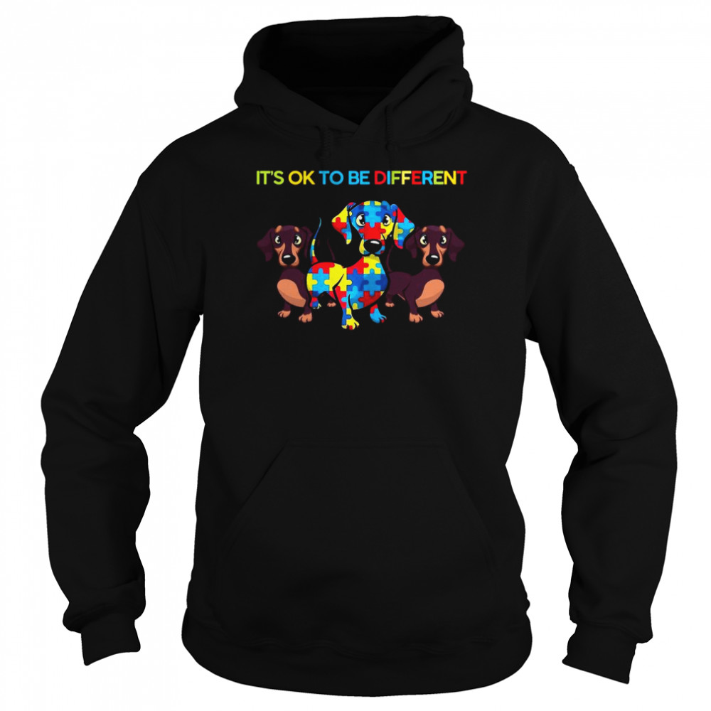 Dachshund Autism It’s Ok To Be Different Unisex Hoodie