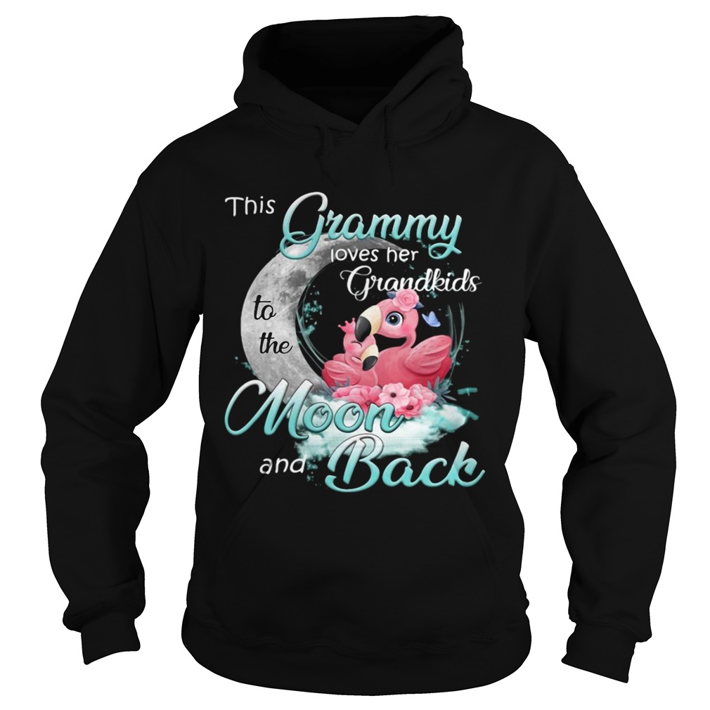 Flamingo This Grammy Loves Her Grandkids To The Moon And Back Hoodie