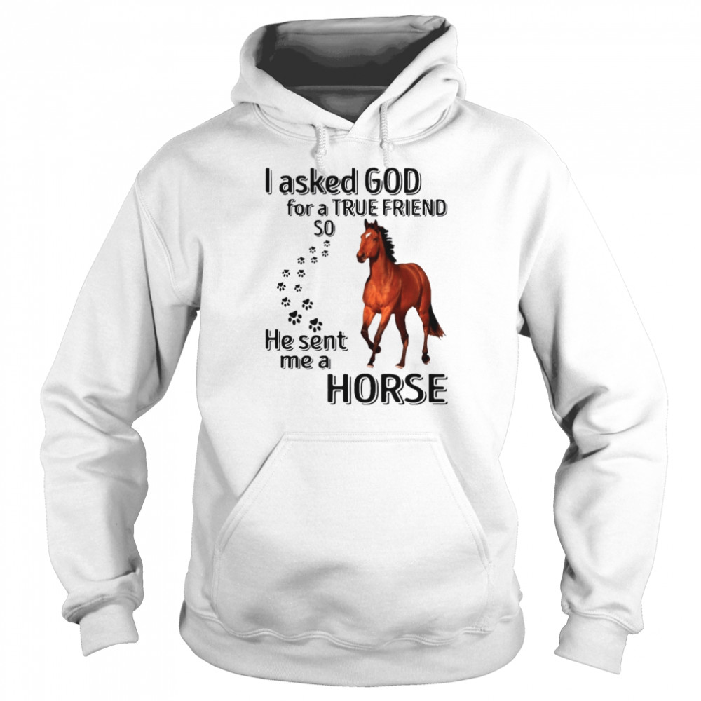 I Asked God For A True Friend So He Sent Me A Horse Unisex Hoodie