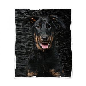 Black Dog Quilt Fleece Blanket Bundle