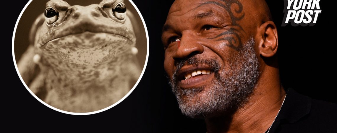 Mike Tyson ‘died’ while tripping on psychedelic toad venom