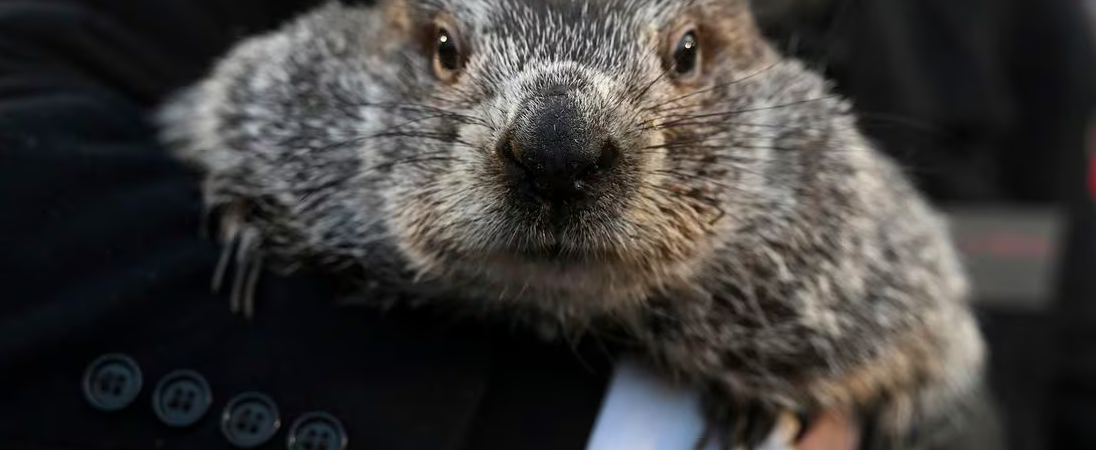 Groundhog Day 2024: Will Punxsutawney Phil see his shadow? The forecast says